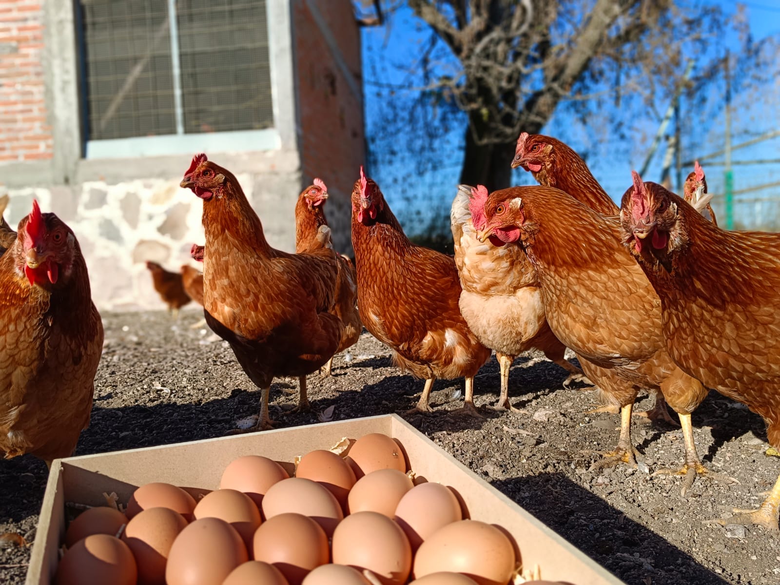 placeholder image-sq