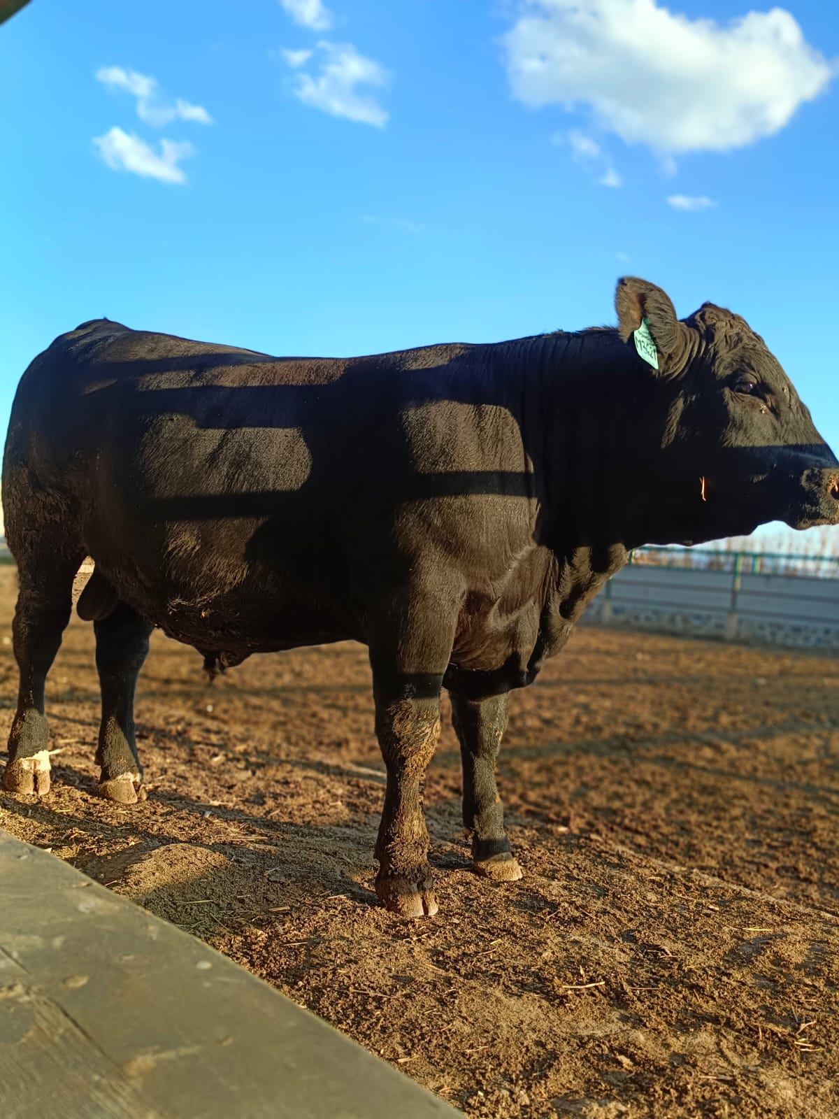 placeholder image-sq