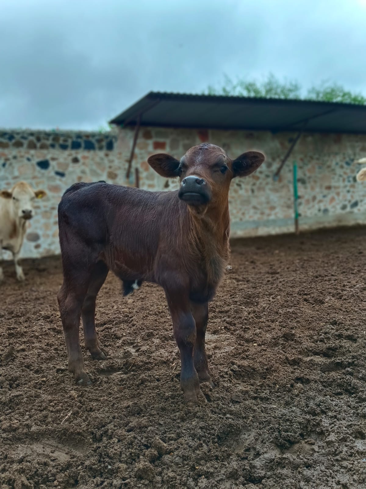 placeholder image-sq