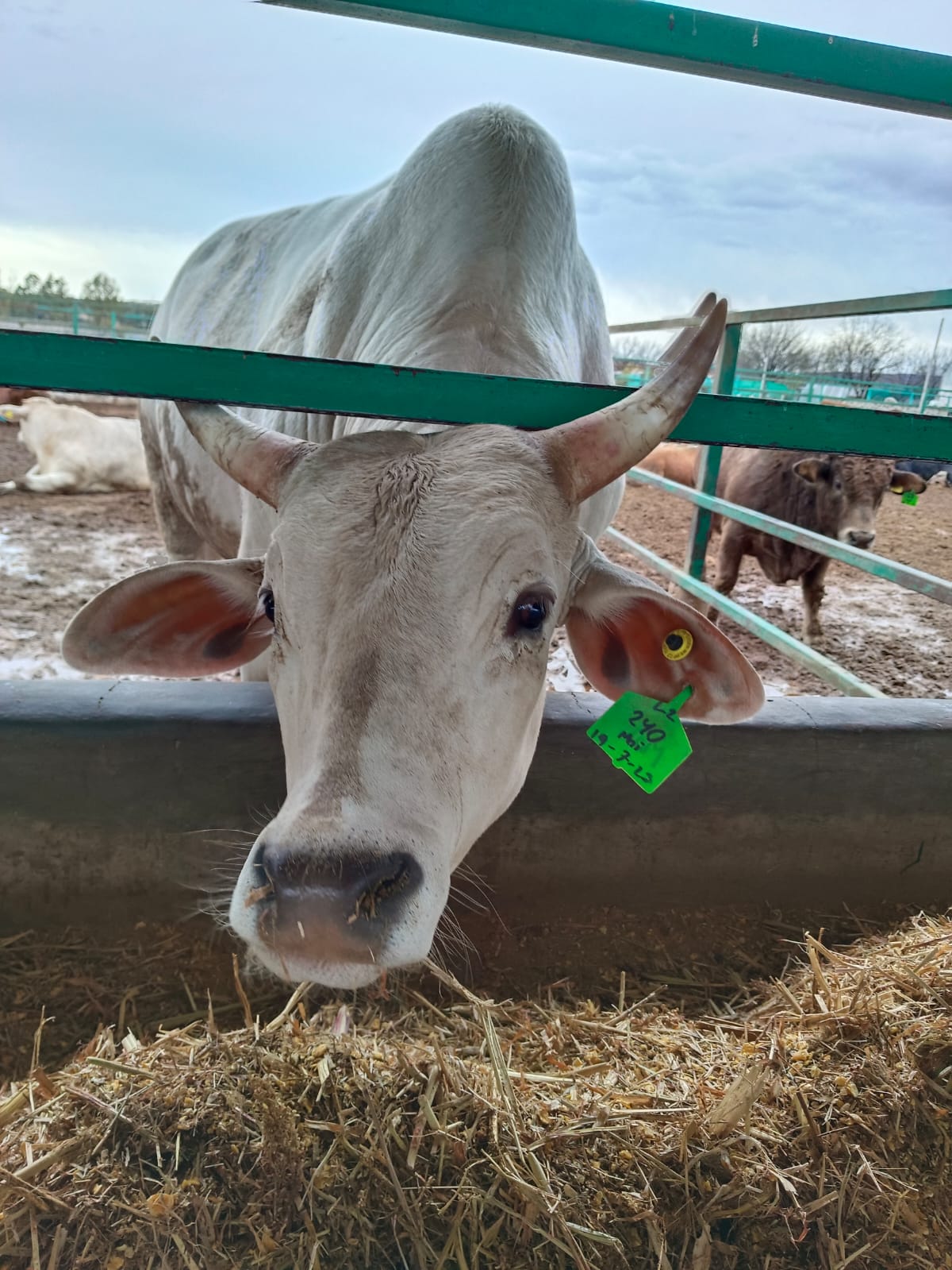 placeholder image-sq