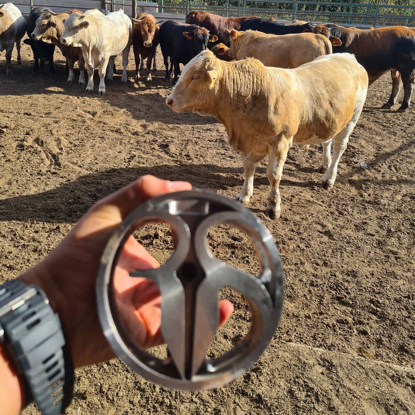 placeholder image-sq