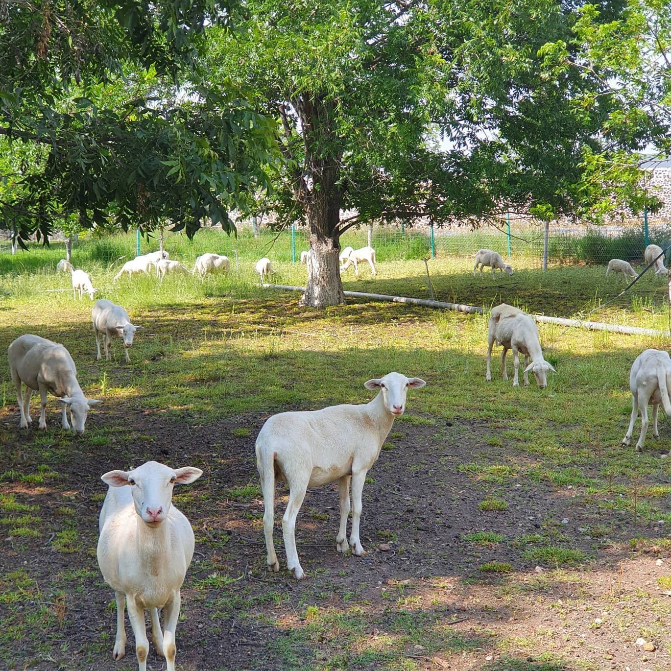 WhatsApp%20Image%202025 01 17%20at%2014.36.31.jpeg