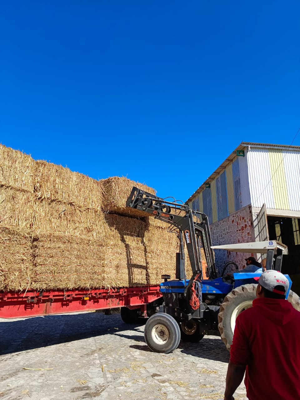 placeholder image-sq